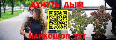 мяу мяу мука Новозыбков