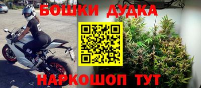 мяу мяу мука Новозыбков