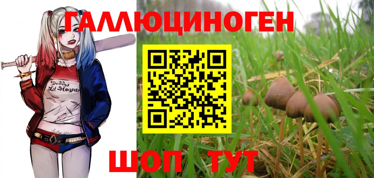 Галлюциногенные грибы Magic Shrooms Советская Гавань
